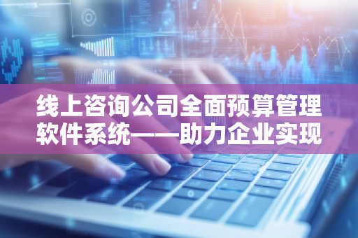 线上咨询公司全面预算管理软件系统——助力企业实现精准财务管理