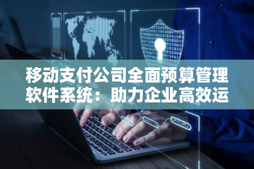 移动支付公司全面预算管理软件系统：助力企业高效运营与精准决策