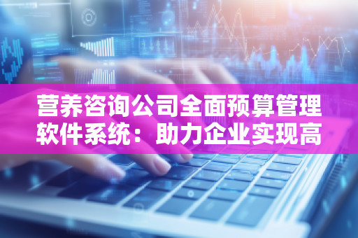 营养咨询公司全面预算管理软件系统:助力企业实现高效预算管理