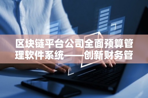 区块链平台公司全面预算管理软件系统——创新财务管理的未来