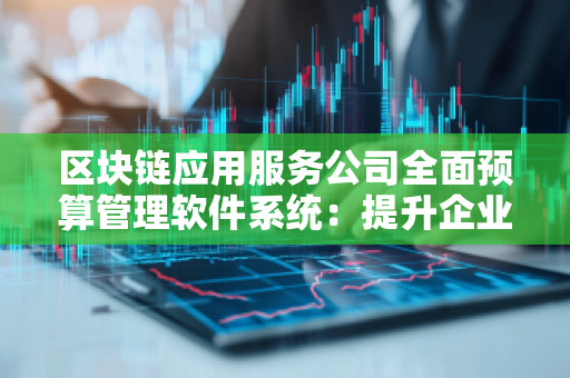 区块链应用服务公司全面预算管理软件系统:提升企业效率与透明度的智慧选择