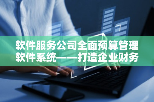 软件服务公司全面预算管理软件系统——打造企业财务管理新未来