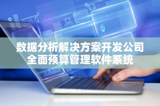 数据分析解决方案开发公司全面预算管理软件系统