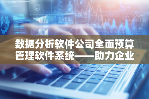 数据分析软件公司全面预算管理软件系统——助力企业实现精准财务管控