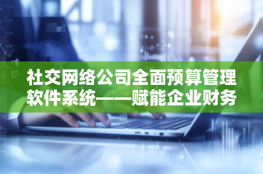 社交网络公司全面预算管理软件系统——赋能企业财务管理新未来