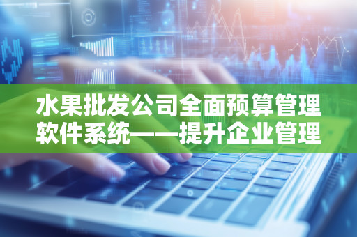 水果批发公司全面预算管理软件系统——提升企业管理效率,助力可持续发展