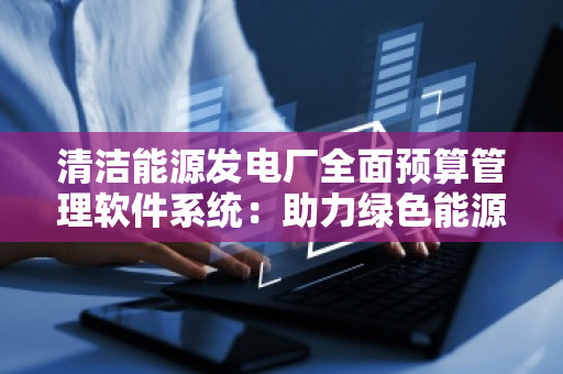清洁能源发电厂全面预算管理软件系统：助力绿色能源革命，提升财务管理效能