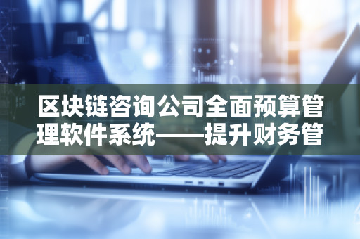 区块链咨询公司全面预算管理软件系统——提升财务管理效率与透明度