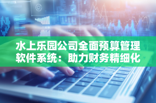 水上乐园公司全面预算管理软件系统：助力财务精细化管理与高效运营
