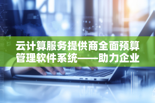 云计算服务提供商全面预算管理软件系统——助力企业实现高效预算管理