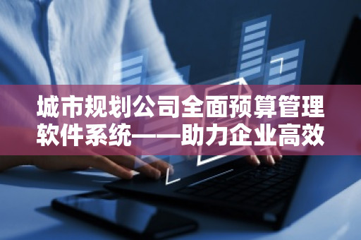 城市规划公司全面预算管理软件系统——助力企业高效精细化管理