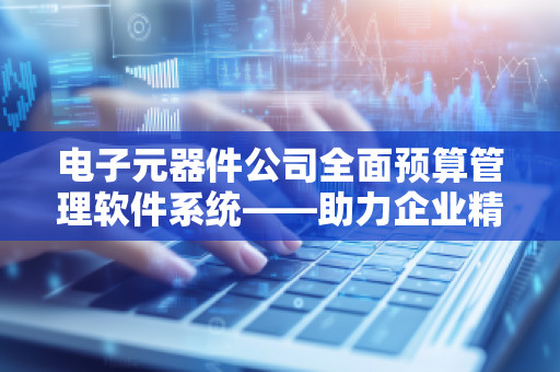 电子元器件公司全面预算管理软件系统——助力企业精细化管理，提升财务透明度