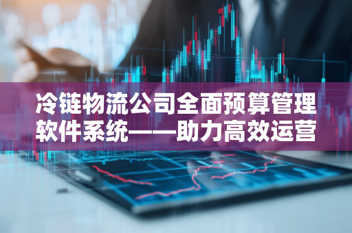 冷链物流公司全面预算管理软件系统——助力高效运营与精准决策