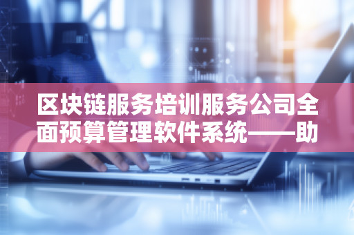 区块链服务培训服务公司全面预算管理软件系统——助力企业精细化管理，提升财务透明度与效率