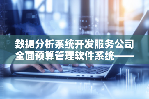 数据分析系统开发服务公司全面预算管理软件系统——提升企业财务管控效率的智能选择