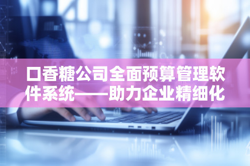 口香糖公司全面预算管理软件系统——助力企业精细化管理，优化决策流程