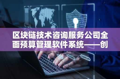 区块链技术咨询服务公司全面预算管理软件系统——创新驱动财务管理的未来