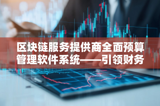 区块链服务提供商全面预算管理软件系统——***财务管理新时代