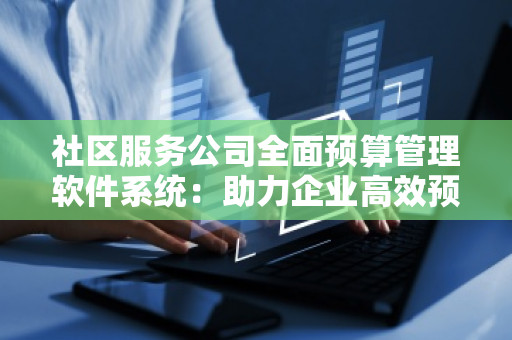 社区服务公司全面预算管理软件系统：助力企业高效预算管理，迈向智能化未来