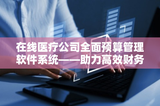 在线医疗公司全面预算管理软件系统——助力高效财务管理,推动企业腾飞 在线医疗公司全面预算管理软件系统——助力高效财务管理,推动企业腾飞